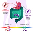 size-0-enteric-coated-empty-gelatin-caps-5.jpg
