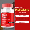 2-pack-tru-balance-blood-support-capsule-4.jpg