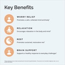 brainmd-dr-amen-calm-my-brain-90-vegan-c-4.jpg