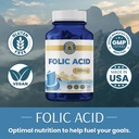 folic-acid-supplement-high-potency-vitam-2.jpg
