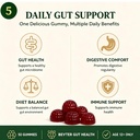 infuse-probiotic-kombucha-gummies-6.jpg