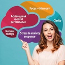 panax-ginseng-with-brain-booster-5.jpg