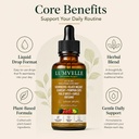 wild-wormwood-herbal-drops-everyday-gut--4.jpg