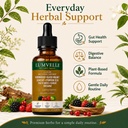 wild-wormwood-herbal-drops-everyday-gut--3.jpg