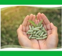 vegan-empty-capsules-size-0-1000-count-c-6.jpg