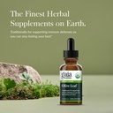 gaia-herbs-olive-leaf-1-fl-oz-liquid-ext-2.jpg