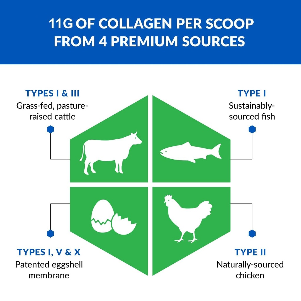 biotrust-ageless-multi-collagen-5-in-1-p-3.jpg