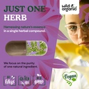 wild-organic-vitex-chasteberry-supplemen-5.jpg