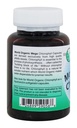 world-organics-mega-chlorophyll-100-mg-1-3.jpg
