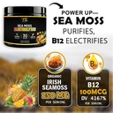 hydration-powder-immune-support-sugar-fr-4.jpg