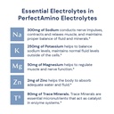 bodyhealth-perfectamino-electrolytes-pow-3.jpg