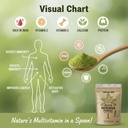 organic-herb-moringa-leaf-powder-100-pur-2.jpg