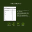 swanson-collagen-peptides-unflavored-19--4.jpg