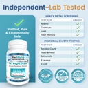bio-absorb-serrapeptase-supplement-12000-5.jpg