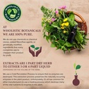 00-empty-vegetable-capsule-easily-fillab-3.jpg