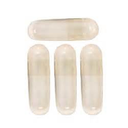 prescribed-for-life-veggie-caps-dr-100-v-2.jpg