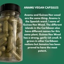 jamaican-guinea-hen-vegan-capsules-2.jpg