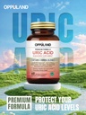 uric-acid-detox-60-veggie-capsules-2.jpg