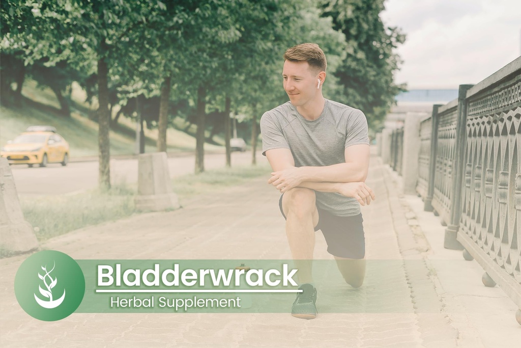 pure-original-ingredients-bladderwrack-1-5.jpg