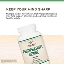 phosphatidylserine-supplement-300mg-per--4.jpg