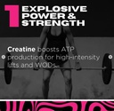 driven-nutrition-micronized-creatine-mon-2.jpg