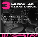 driven-nutrition-micronized-creatine-mon-4.jpg