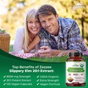 zazzee-usda-organic-gut-lining-support-b-4.jpg