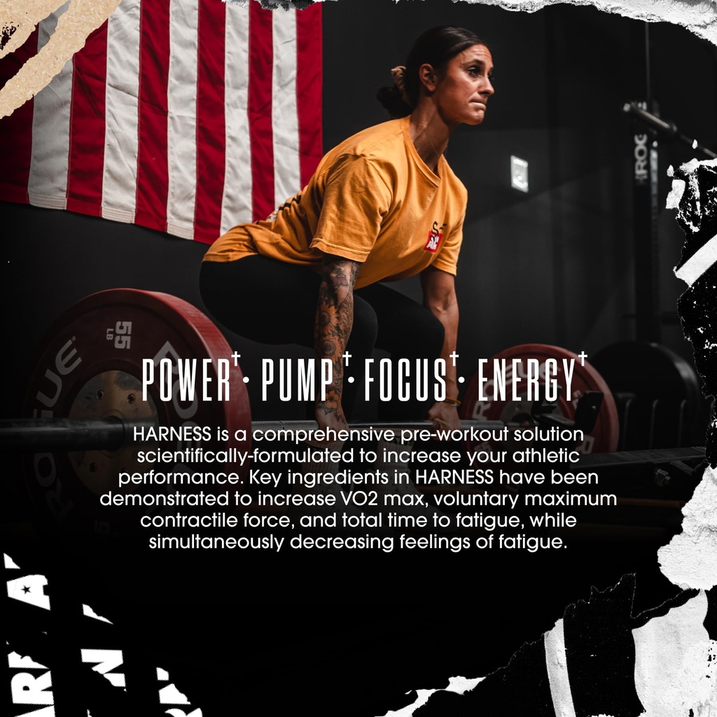 arms-race-nutrition-arn-harness-pre-work-3.jpg