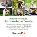 homeopet-feline-nose-relief-safe-and-nat-6.jpg