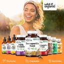 wild-organic-sarsaparilla-root-capsules--6.jpg