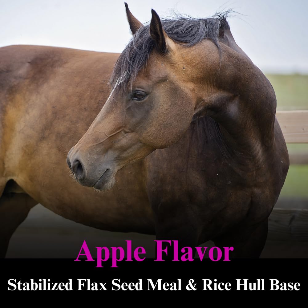 su-per-b-15-vitamin-supplement-for-horse-4.jpg