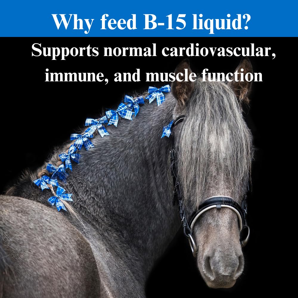 su-per-b-15-vitamin-supplement-for-horse-5.jpg