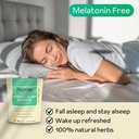 melatonin-free-natural-sleep-aid-gummies-2.jpg