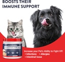 digestive-enzymes-and-probiotics-for-dog-6.jpg