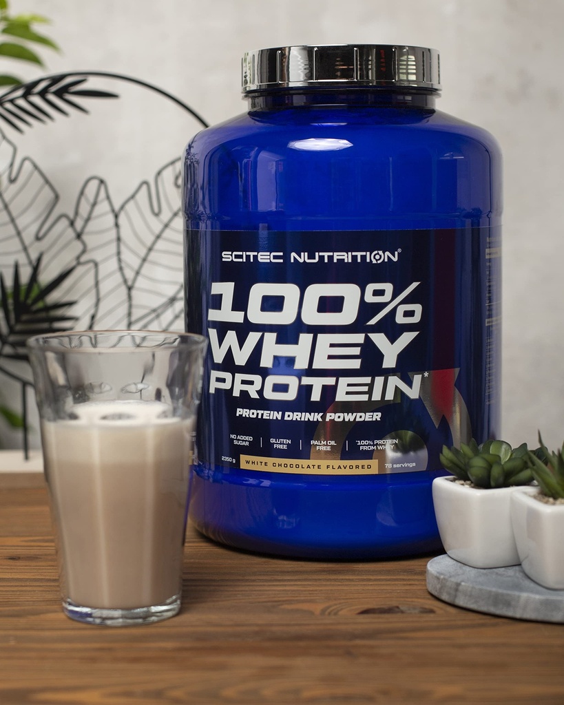 100-whey-protein-2-lbs-milk-chocolate-sc-2.jpg