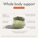 welleco-the-super-elixir-daily-greens-po-6.jpg