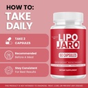 3-pack-lipojaro-capsules-official-lipo-j-4.jpg