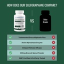 approved-science-sulforaphane-delayed-re-5.jpg