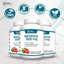 hybrid-nutraceuticals-berberine-1200mg-c-3.jpg