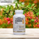 berberine-hcl-1200-mg-per-serving-60-cap-4.jpg