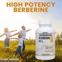 berberine-hcl-1200-mg-per-serving-60-cap-3.jpg