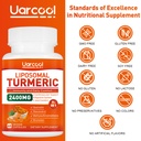 turmeric-curcumin-supplement-2400mg-with-5.jpg
