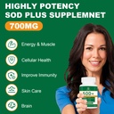 700mg-sod-superoxide-dismutase-supplemen-4.jpg