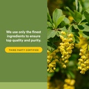 natural-factors-berberine-lipomicel-matr-5.jpg
