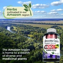 fito-medic-s-lab-bromelain-240-capsules--5.jpg