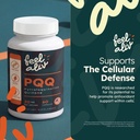 pqq-supplement-20mg-per-serving-pyrroloq-2.jpg