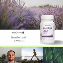 banaba-leaf-extract-300-mg-120-veggie-ca-2.jpg