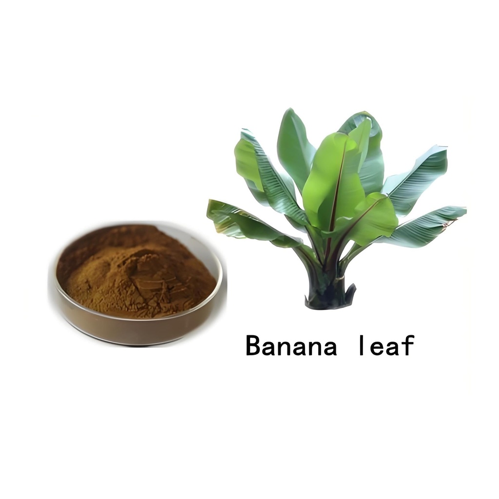 banaba-leaf-extract-10-1-powder-9-ounce--2.jpg