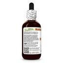 burdock-arctium-lappa-dry-root-glycerite-3.jpg