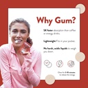 run-gum-cinnamon-energy-gum-50mg-caffein-4.jpg
